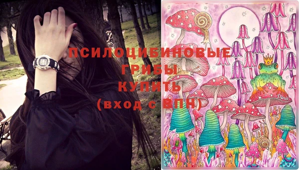 метадон Алексин