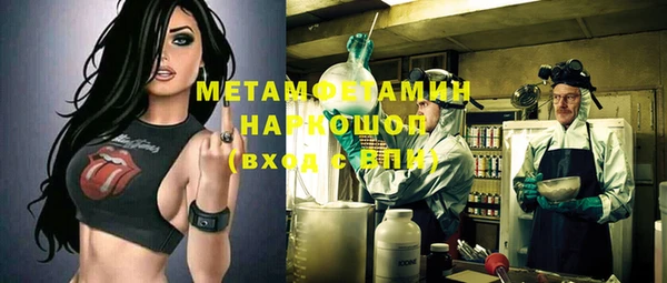 метадон Алексин