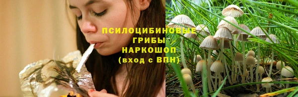 метадон Алексин