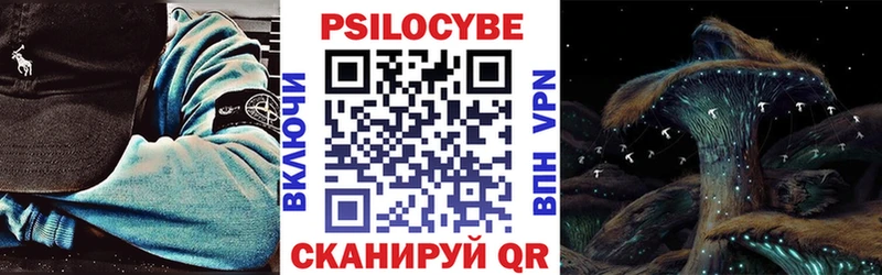 Галлюциногенные грибы Psilocybine cubensis  OMG рабочий сайт  darknet формула  продажа наркотиков  Киселёвск 