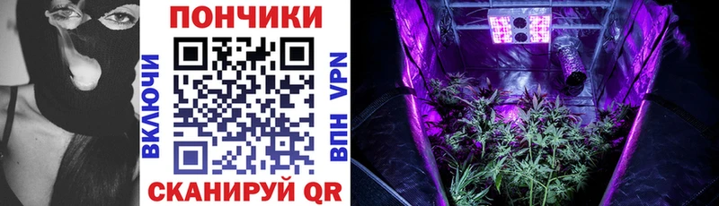 нарко площадка какой сайт Киселёвск Канабис Bruce Banner